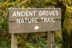PICTURES/Sol Duc - Ancient Groves/t_Ancient Groves Sign.JPG